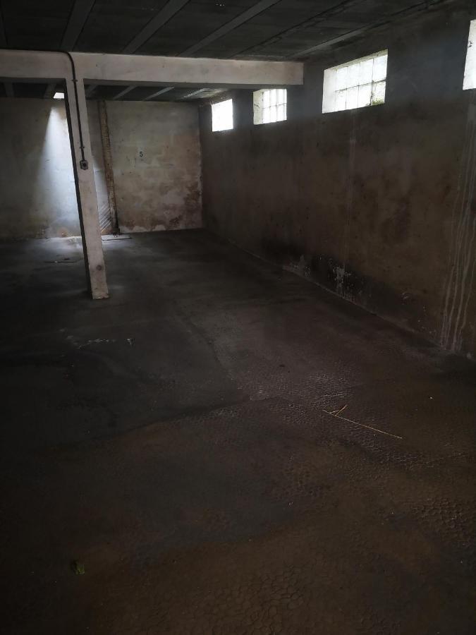 Studio Jungle Au Mourillon Apartment ตูลง ภายนอก รูปภาพ